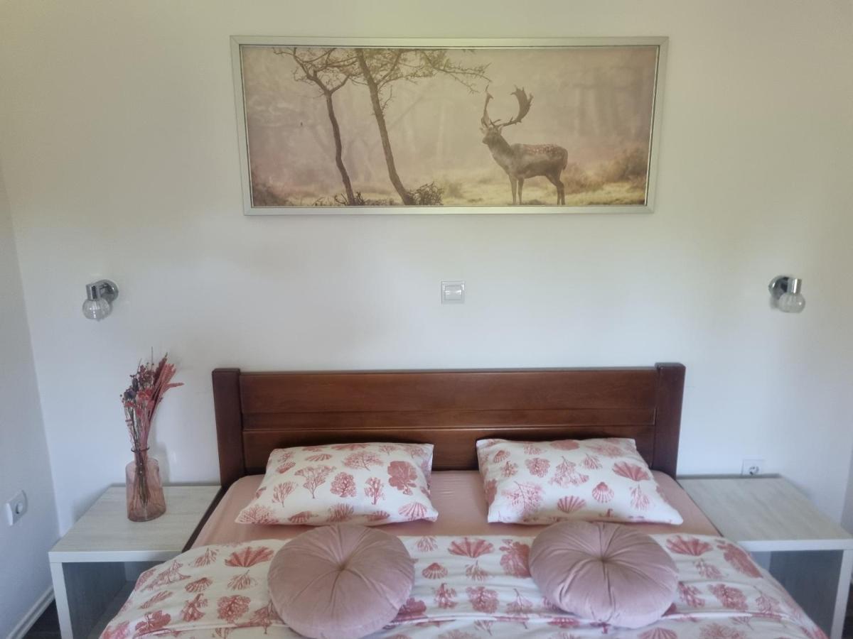 רקוביצה 4 Seasons Guest House מראה חיצוני תמונה