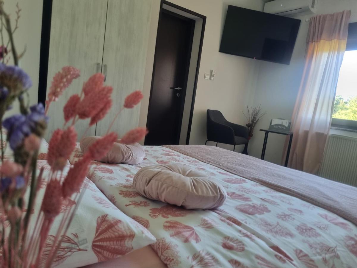 רקוביצה 4 Seasons Guest House מראה חיצוני תמונה